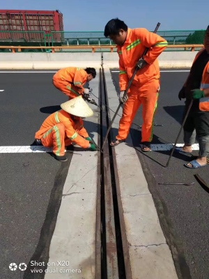 “体检+手术+才智” 衡阳公路部分看护公路桥梁生命线